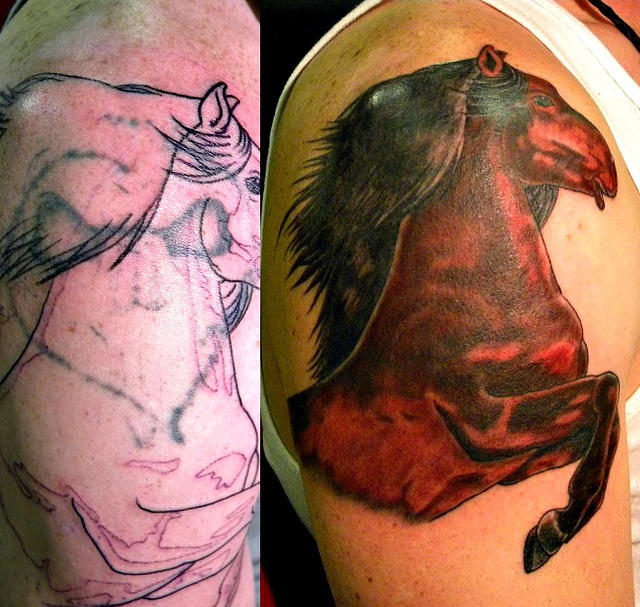 Horse covers Skull