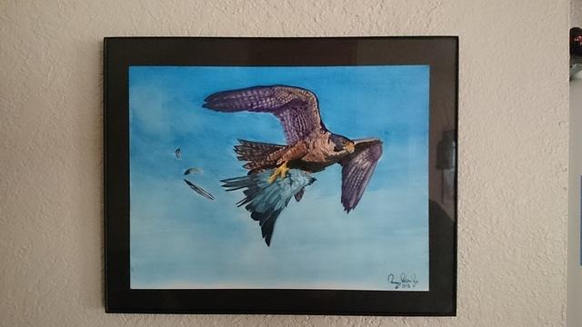 Merlin Falcon and Prey, watercolor