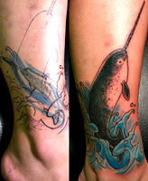 Narwhal covers Narwhal