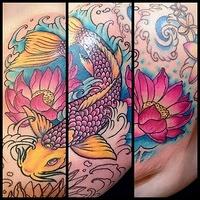 Colorful Koi