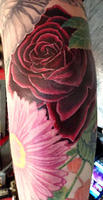 Rose on elbow